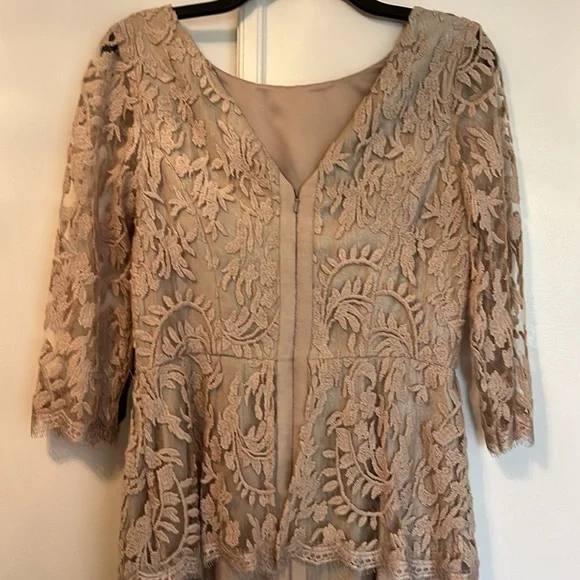 NWT Champagne Color Cocktail Dress by Adrianna Papell Size 8 - Picture 4 of 8